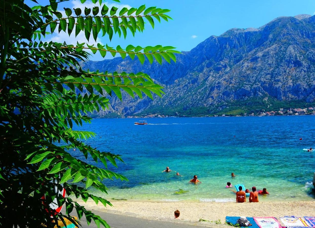 Bay Of Kotor View Apartment With Pool Prčanj Eksteriør billede